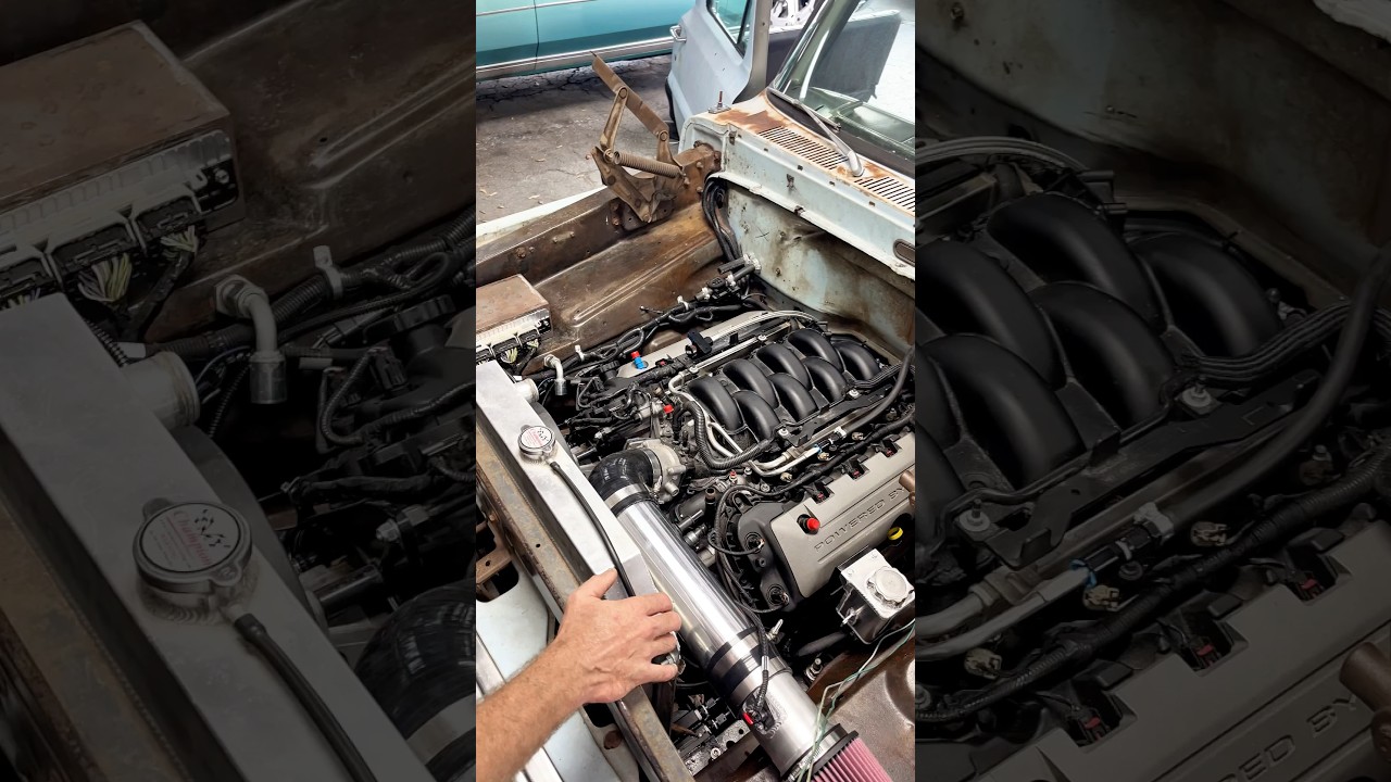 COYOTE SWAP 📲 BOOK TODAY! 