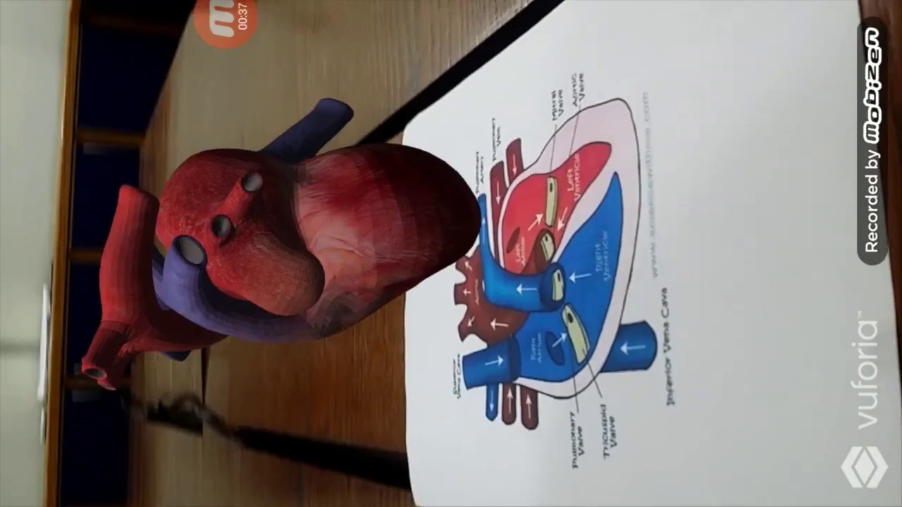 Health & Education Related Augmented Reality Demo - YouTube