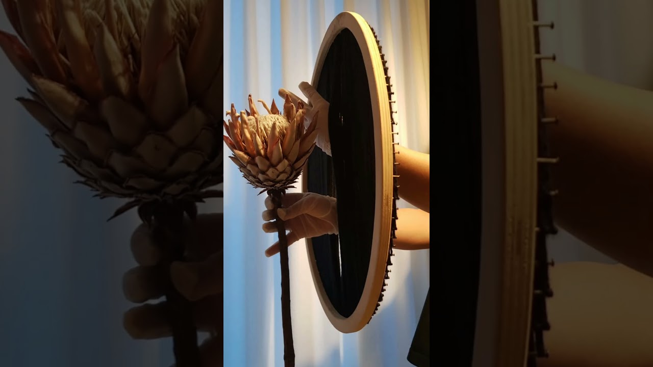 With its unique and regal appearance, stands as a powerful symbol of.