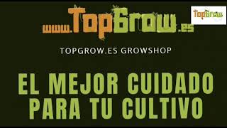 Top 5 fertilizantes bio