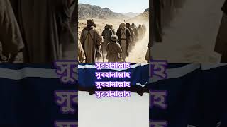 #julaybib #islamicstorybangla #sahabistory