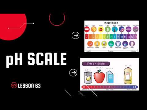 The pH Scale |Universal Indicator|