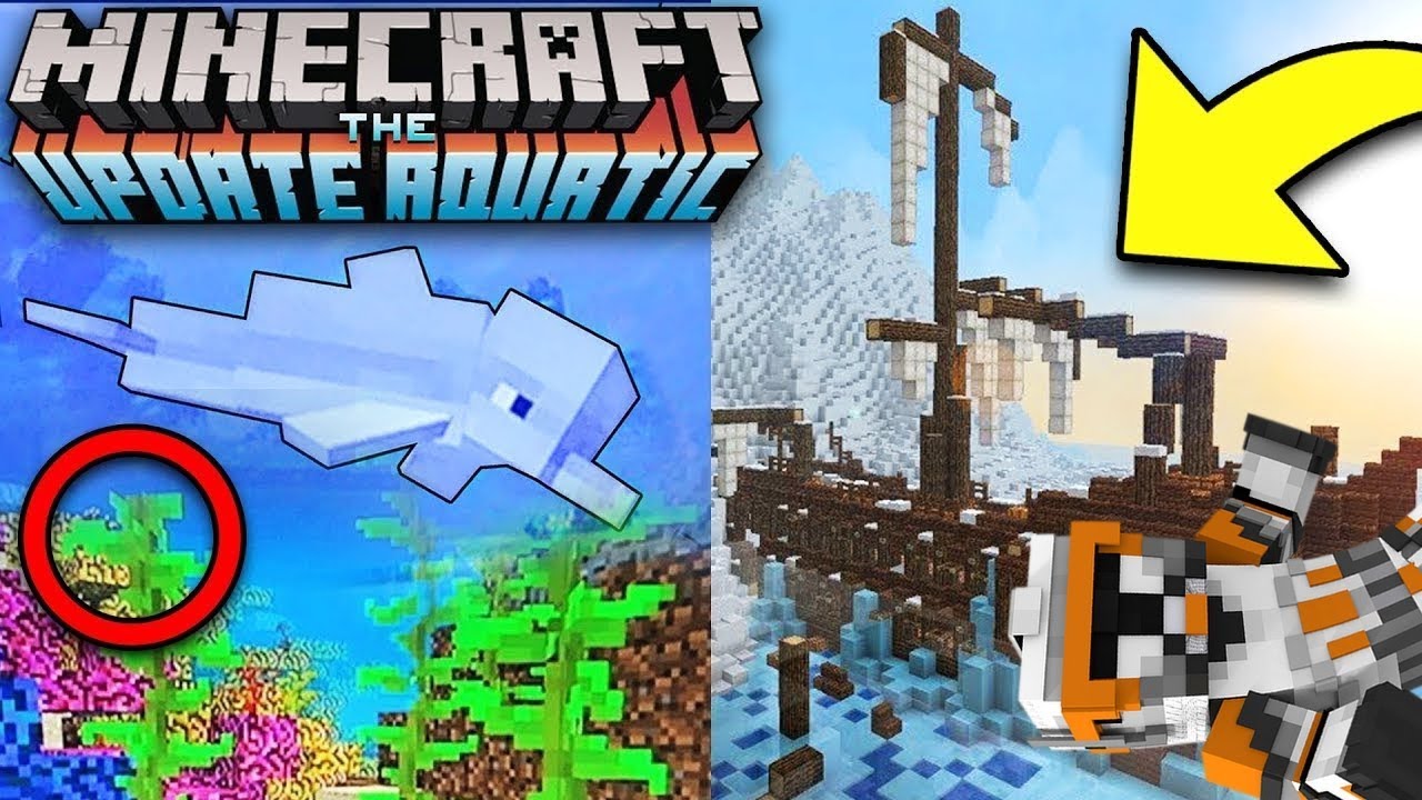 MISE A JOUR MINECRAFT ! DES DAUPHINS UN TRIDENT ET PLUS ENCORE SOUS L