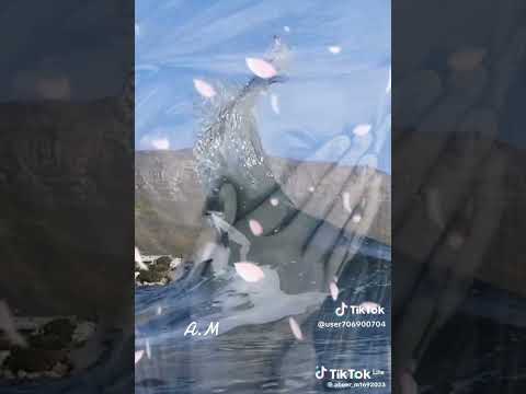 انا مهما شكيت للناس مفيش انسان هينصنفني استوري حزين جدا