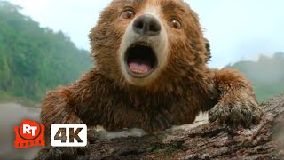 Paddington in Peru (2024) 4K - Baby Paddington Falls Into The River Scene | Movieclips