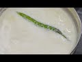 How to make Curd | Perfect dahi kaise banaye | How to make thick curd at home | Simple &amp; Easy