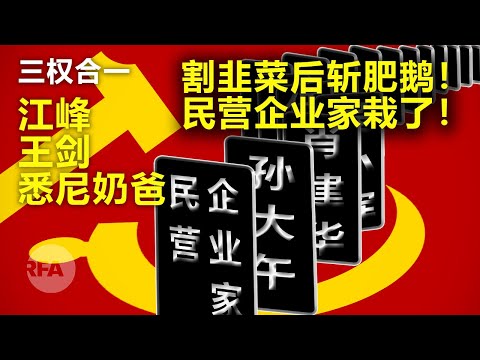 割韭菜后斩肥鹅！民营企业家栽了！| 三权合一