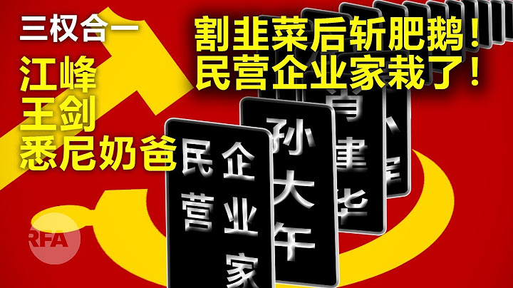 割韭菜後斬肥鵝！民營企業家栽了！| 三權合一 - 天天要聞