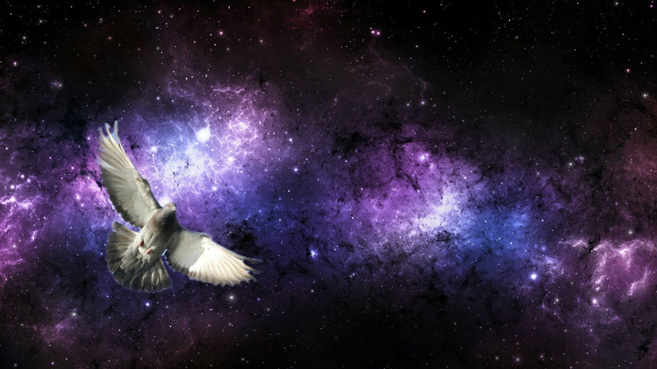 Early Radio Astronomy And The Pigeon Problem