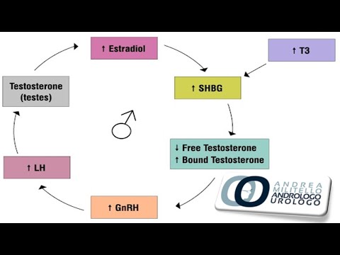 Video: 3 modi per abbassare i livelli di SHBG