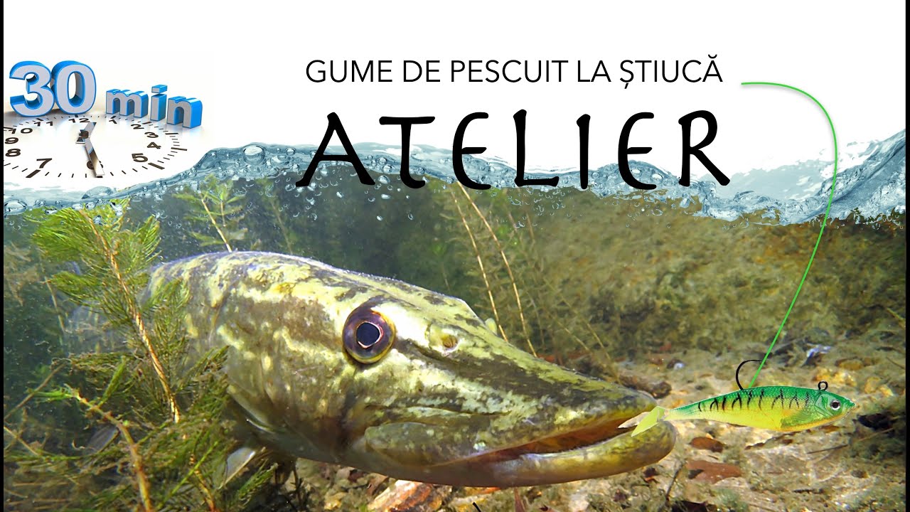 Atelier - Cum lestăm gumele de știucă, TIP&TRICS, secrete dezvăluite din concursurile de răpitori