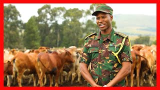 Sumajkt Na Kilimo Cha Malisho Ya Mifugo Mafinga