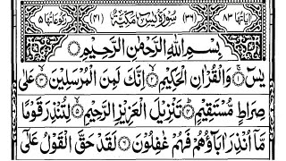 surah Yasin sudais || surah rahman || surah Waqi'ah || surah mulk || the easy quran course
