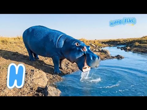 ABC Colorful Safari Animal Song 🦁🎵 | Learn ABCs & Colors for Kids ...