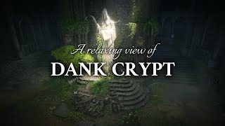 Baldur's Gate 3 - Dank Crypt | Dungeon Ambience & Music (3H20M)