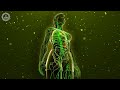 Lymphatic Drainage | Remove Waste &amp; Toxins From The Body | Boost Immune System Overcome Inflammation