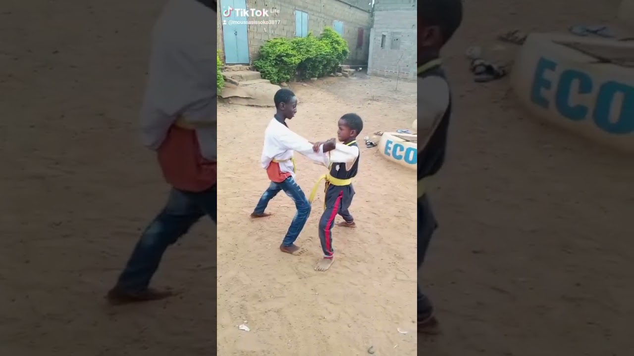 hwarangdo et taesoodo