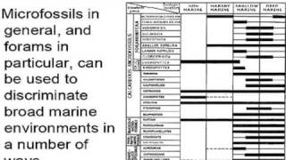 Microfossils Part 2A2-2 Foram Use.mov