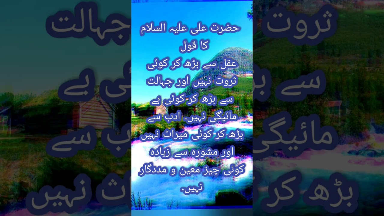 imam ali quotes about wisdom, ignorance, manner & opinion 