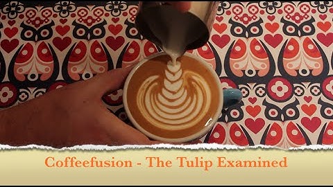 Coffeefusion Tutorials - The Tulip Examined