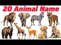 जंगली जानवरों के नाम Wild animal names English Vocabulary learning for kids | Kids Knowledge 