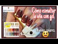 🔴 Aplicación de Gel 💅 |Born Pretty gel polish kit reseña