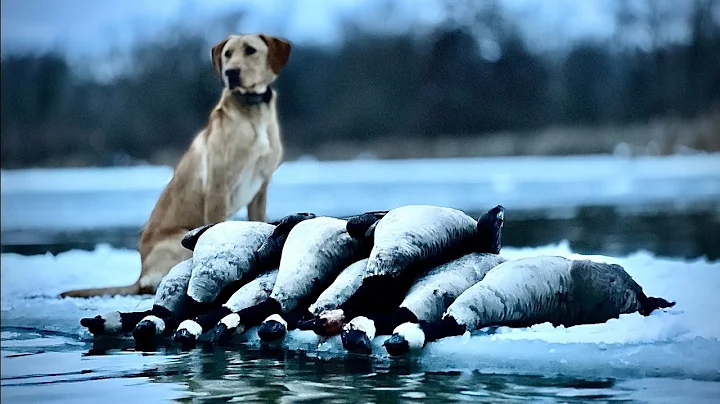 -7° | Frozen River Ice Hole with Perfectly Decoying Geese