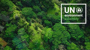 Insights from the EU–UNEP Partnership on Climate Change, Environment, Peace and Security