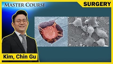 [Master Course Season2 - SURGERY] Bone Graft materials for GBR