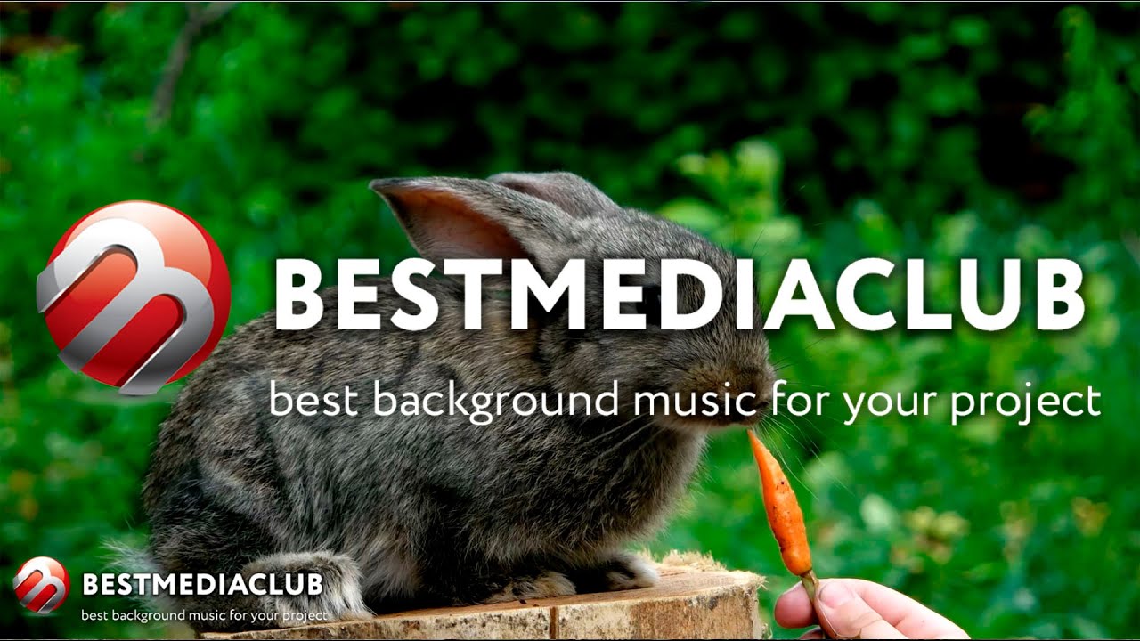 Happy Upbeat Ukulele for Children - No Copyright Royalty Free Music