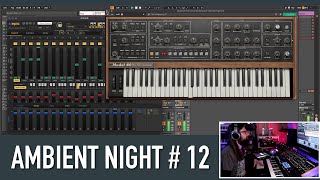 Ambient Night #12 (Ambient music production with Softube / Ableton)