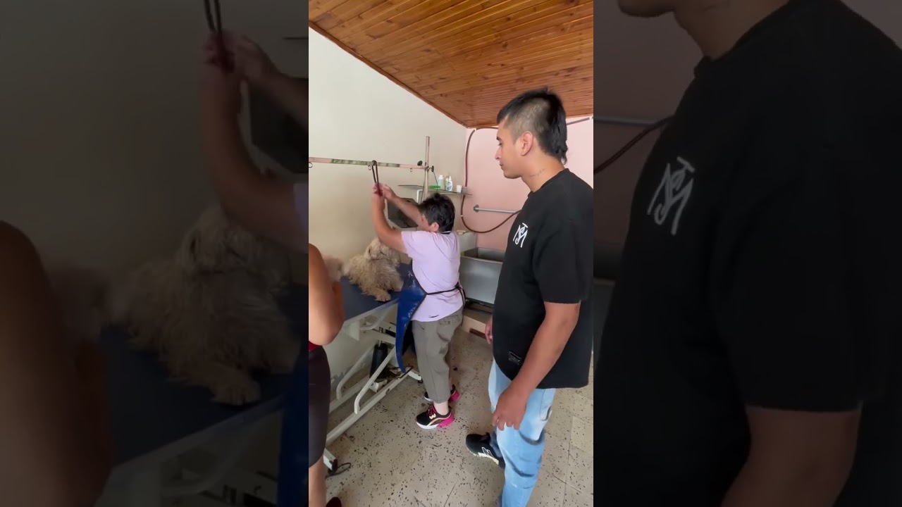 Este perrito estaba desesperado por salvar a sus amigos