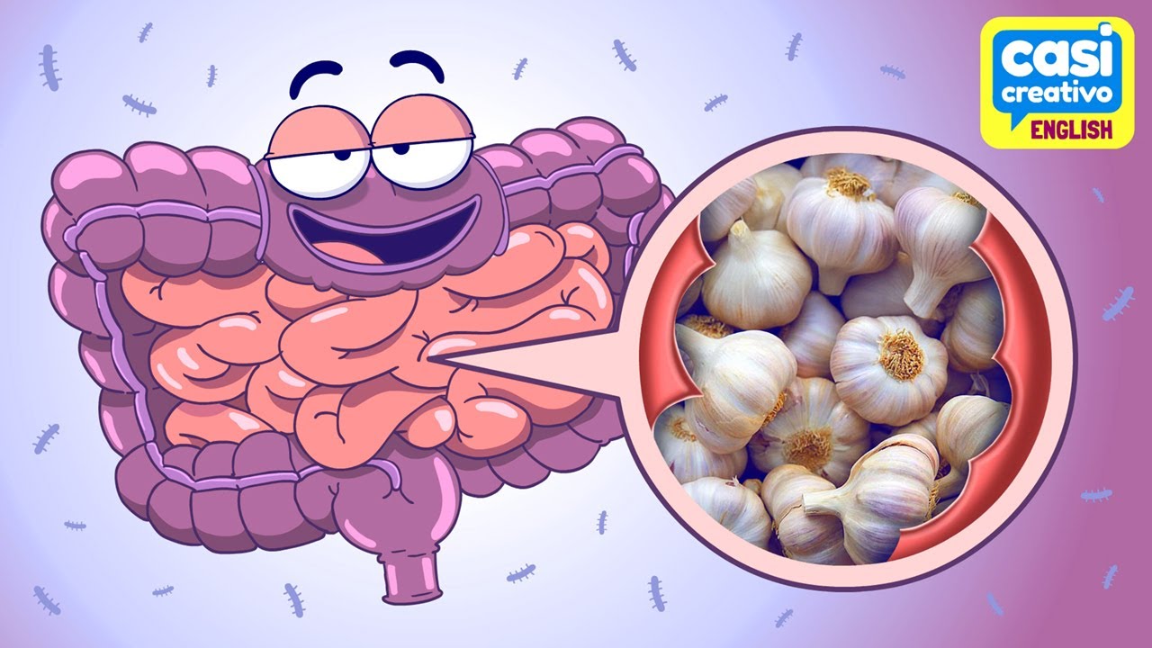 The Difference Between Probiotics and Prebiotics