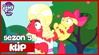 Big Mac Niszczy Wszystko | My Little Pony | Sezon 5 | Odcinek 17 | Siostrzany Turniej