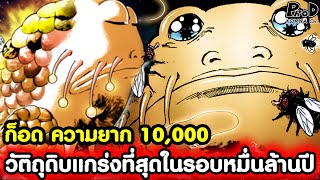 โทริโกะ - ก็อดวัติถุดิบแข็งแกร่งที่สุดในรอบหมื่นล้านปี [KOMNA CHANNEL]