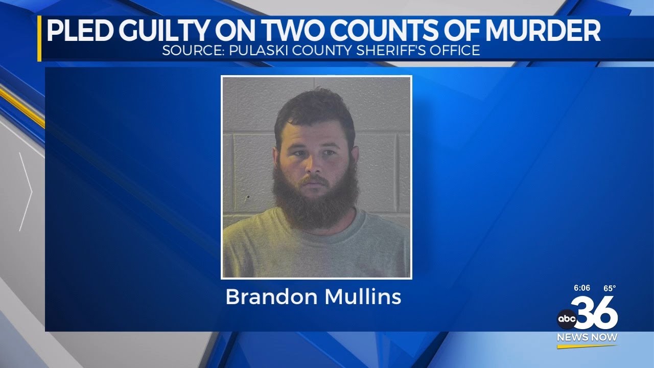 Man pleads guilty on two counts of murder - YouTube