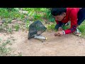 Trap post  best simple parrot trap using basket and wood