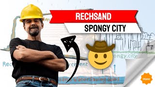 RechSand Spongy City Filter