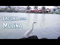 Laguna La Molina