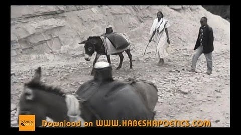 Eritrea - Fasil Ghebremicael - Nimntay Da - (Official Video) - New Eritrean Music 2014