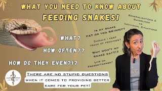 What You Need To Know About Feeding Snakes: Science, Guidelines & Tips