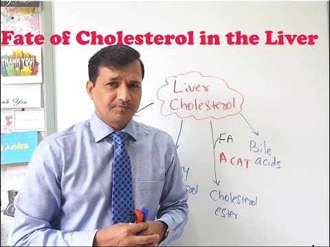 Wideo: Czy wątroba może nadprodukować cholesterol?