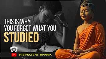 Why You Forget Everything You Study | The Real Reason | The Peace of Buddha