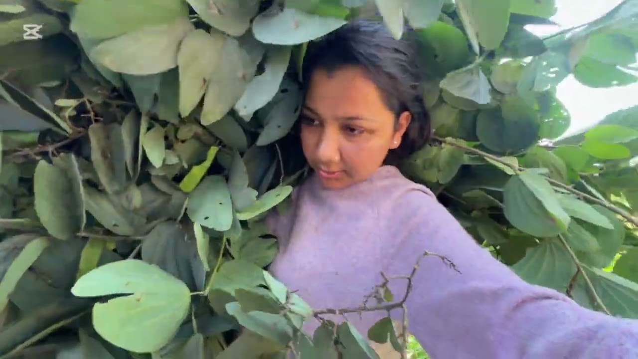 Ktm bata aayeko 5 din paxi khetma gako 🥰