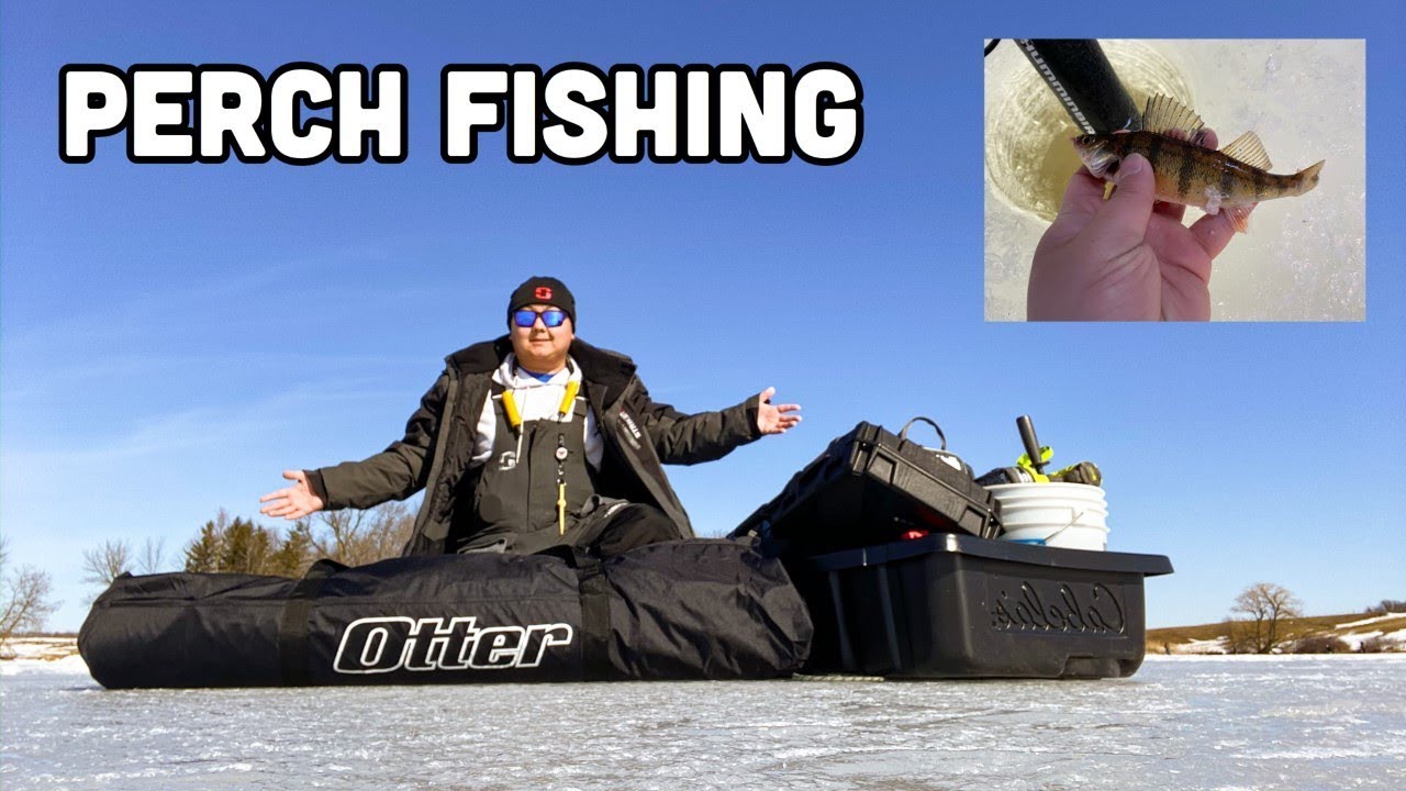 Perch Fishing (EXTREME ICE CRACKING CONDITION) YouTube