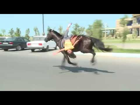 Halaji tara hath vakhanu    AdityaGadhavi   Horse  riding stunt 