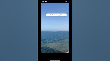 من قرأ سورة الاخلاص ثلاث مرات تعدل ثلث القران الكريم