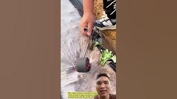 Cách trồng khoai lang siêu củ #garden