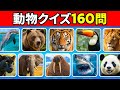 3秒で160種類の動物を当ててみて！🐶🦁✅ | イージーから激ムズまでチャレンジ！
