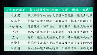 惟智薰法香心得20210628 靜思法髓妙蓮華779集